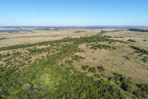 Vista de drone de campos do pampa gaúcho na região do Cerro do Jarau 