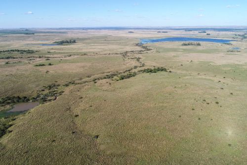Vista de drone de açude formado a partir do represamento de pequeno curso d'água em campos do pampa gaúcho 
