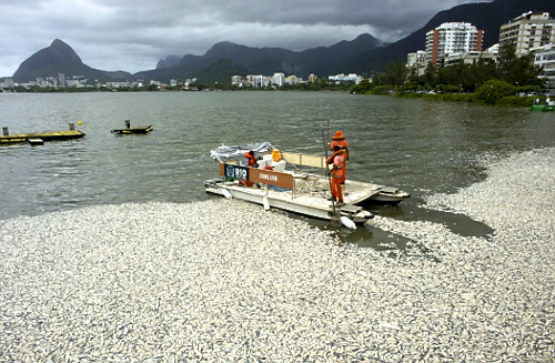 lagoa poluída | Pulsar Imagens | Banco imagens do Brasil