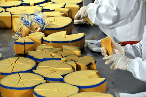 Fabrica de queijo parmesão