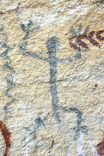 24RA681
