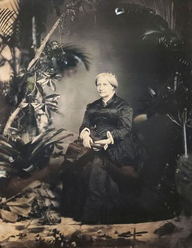 Dona Thereza Christina Maria Imperatriz do Brasil - 1883 - Platinoitipia - fotógrafo Joaquim Insley Pacheco -