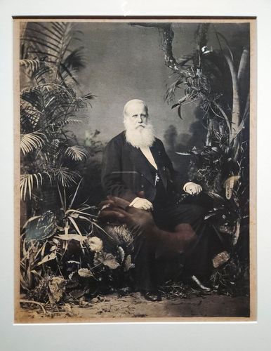 Dom Pedro II Imperador do Brasil - 1883 - Platinoitipia - Fotógrafo Joaquim Insley Pacheco - acervo Bibliotec