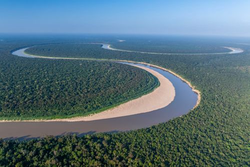 mata de igapó | Pulsar Imagens | Banco imagens do Brasil