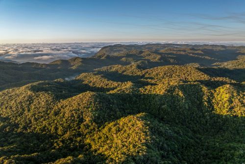 Vista de drone do Parque Estadual da Serra do Mar