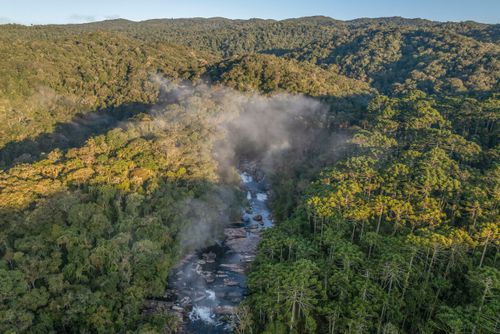 Parque Estadual da Serra do Mar com rio Paraibuna e mata de araucárias à direita - floresta ombrófila mista