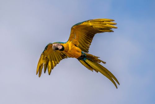 26DIB380