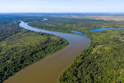 Vista de drone do Rio Culuene ou Kuluene - Parque Indígena do Xingu