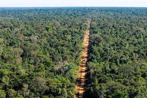 Vista de drone estrada próxima da Aldeia Tanguro da etnia Kalapalo - Parque Indígena do Xingu