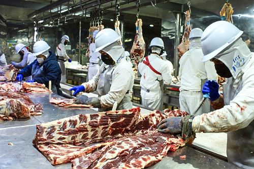 Linha de desossa de gado em frigorífico