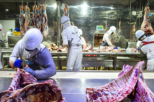 Linha de desossa de gado em frigorífico