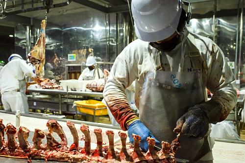 Linha de desossa de gado em frigorífico