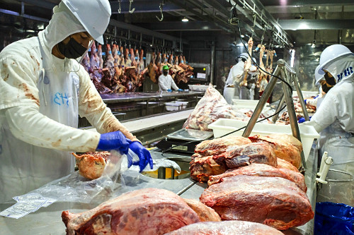 Linha de cortes de carne de gado em frigorífico