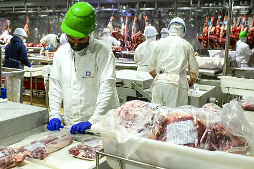 Linha de desossa de gado em frigorífico