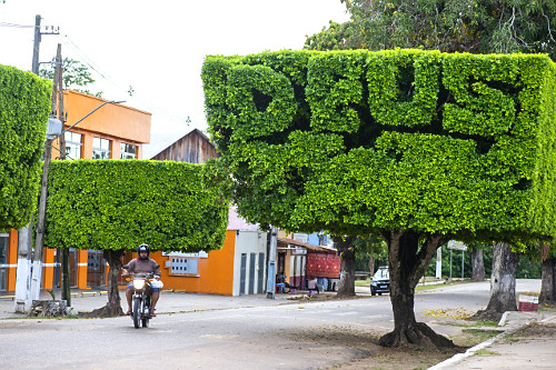 Arvores recortadas formando a palavra Deus