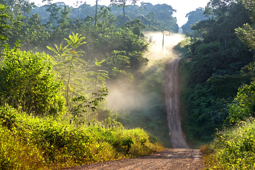 Estrada de terra em meio a floresta amazônica