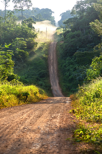 Estrada de terra em meio a floresta amazônica