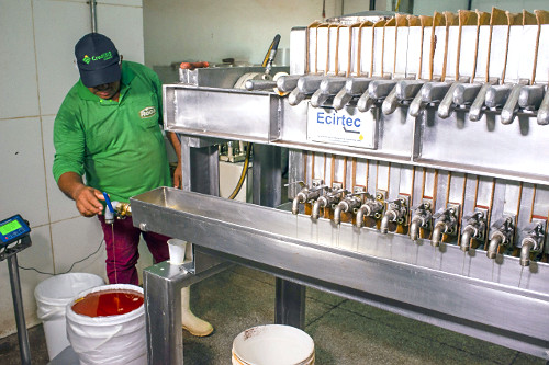 Prensa produzindo manteiga de cupuaçu