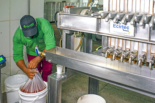 Prensa produzindo manteiga de cupuaçu