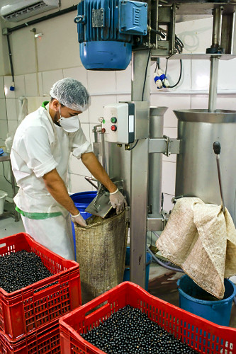 Trabalhador em despolpadeira de açaí para produção de polpa