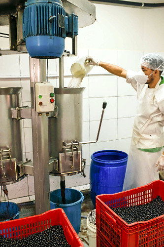 Trabalhador abastecendo com água despolpadeira de produção de polpa de açaí