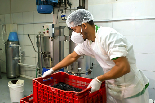 Trabalhador carregando caixa com açaí para produção de polpa