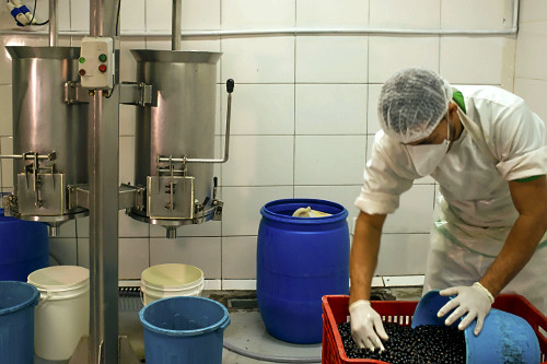 Trabalhador abastecendo despolpadeira com açaí para produção de polpa