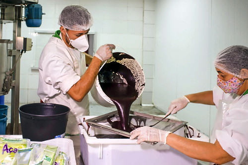 Trabalhadores em fábrica de polpa de açaí
