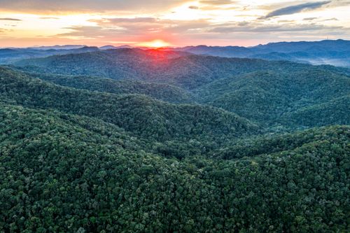 Vista de drone do Parque Estadual Serra do Mar – Núcleo Padre Dória