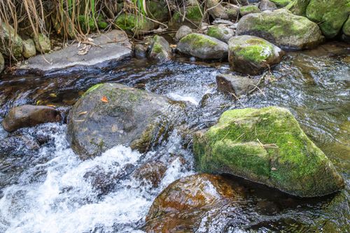Rio Batedor em trecho de Mata Atlântica na APA Área de Proteção Ambiental da Serra da Mantiqueira