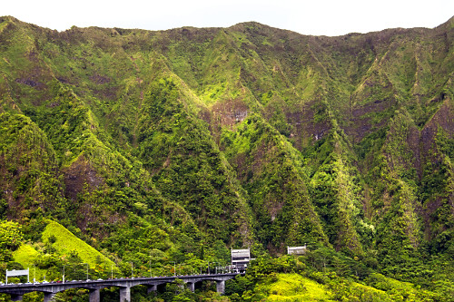 Veículos aguardam na H3 Rodovia John A Burns Freeway para fazer testagem em massa para COVID-19 - Kaneohe - i