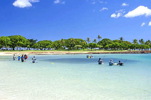 Tradicional pesca de verão na praia Ala Moana - ilha de Oahu - Havaí -
