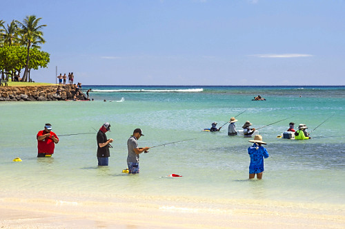 Tradicional pesca de verão na praia Ala Moana - ilha de Oahu - Havaí - 