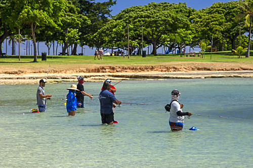 Tradicional pesca de verão na praia Ala Moana - ilha de Oahu - Havaí - 