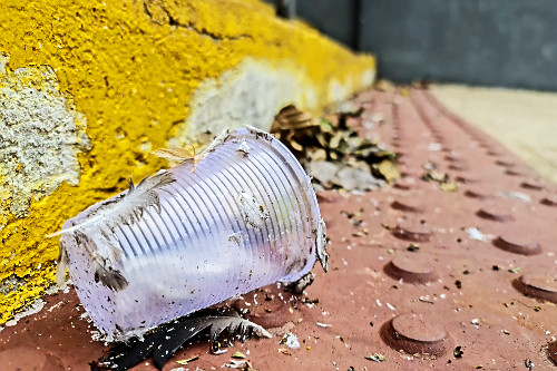 Copo de plástico descartado na rua - lixo