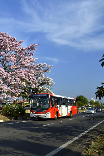 32JPR489
