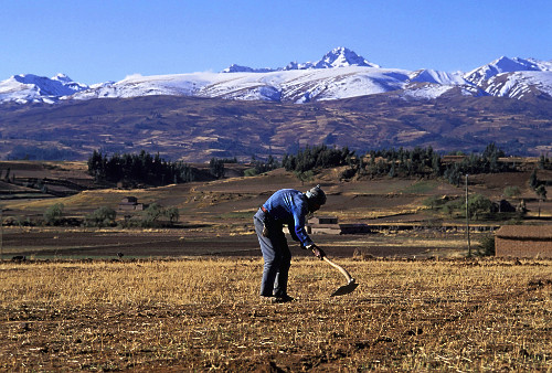Camponês - Vale de Punata - Cochabamba - Bolívia