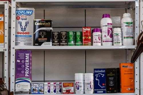 Venda de inseticidas e vitaminas para gado em loja agropecuária