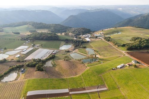 rio antas | Pulsar Imagens | Banco imagens do Brasil