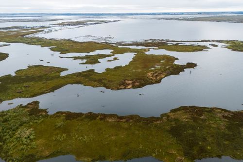 35MS345