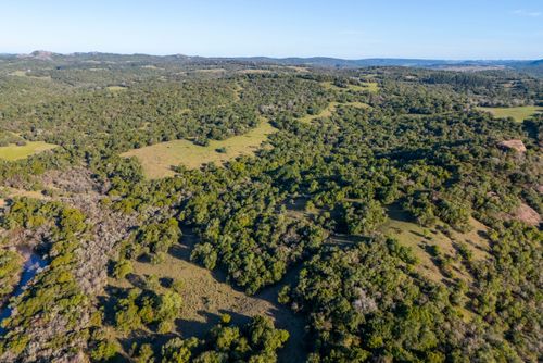 Vista de drone da vegetação nativa do Pampa
