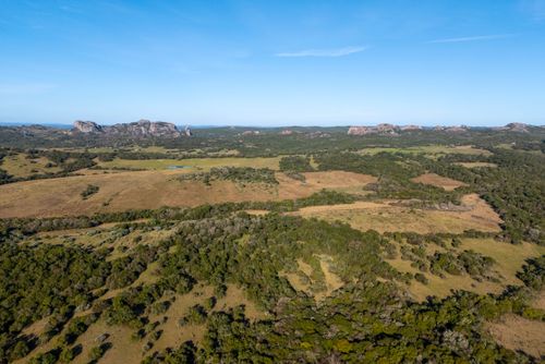 Vista de drone da vegetação nativa do Pampa - ao fundo formações rochosas do Cerro dos Martim