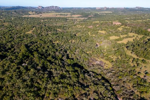 Vista de drone da vegetação nativa do Pampa - ao fundo formações rochosas do Cerro dos Martim