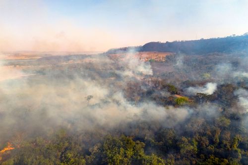 Vista de drone de incêndio florestal - bioma Cerrado - período de estiagem - Triângulo Mineiro
