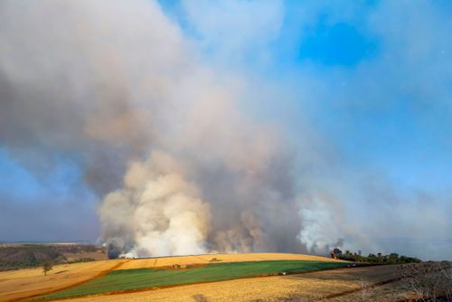 Incêndio florestal no bioma Cerrado no período de estiagem ao lado de propriedade rural - Triângulo Mineiro