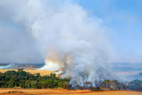 Incêndio florestal no bioma Cerrado no período de estiagem ao lado de propriedade rural - Triângulo Mineiro