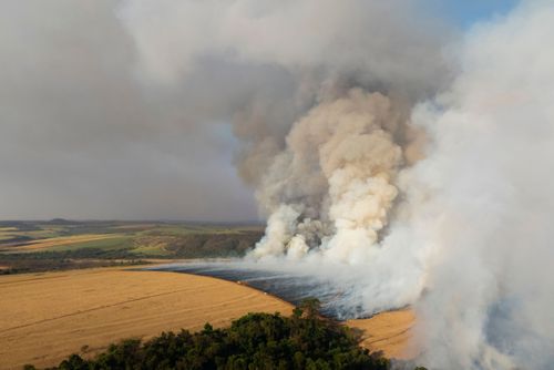 Incêndio florestal no período de estiagem atingindo propriedade rural - Triângulo Mineiro
