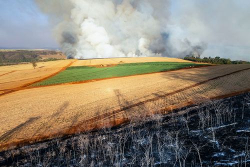 Área de cerrado após incêndio florestal no período de estiagem e ao fundo incêndio em canavial
