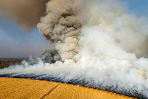 Incêndio florestal no período de estiagem atingindo propriedade rural - Triângulo Mineiro