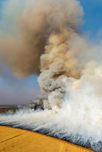 Incêndio florestal no período de estiagem atingindo propriedade rural - Triângulo Mineiro